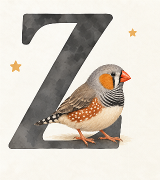 Zebrafinke i Liva