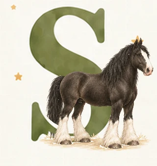 Shire i Liva