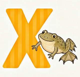 Xenopus i Tilde
